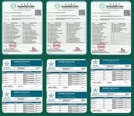 product-461-400