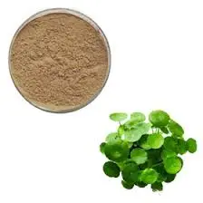 Topical Application Guidelines Topical Application Guidelines