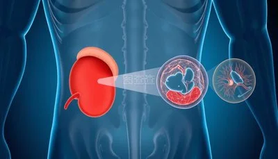 Prostate Health Prostate Health