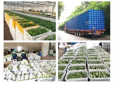 Agricultural and Storage 