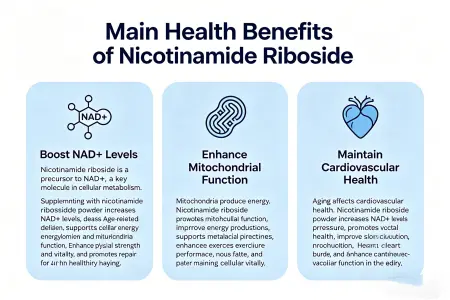 Top Health Benefits of Nicotinamide Riboside Top Health Benefits of Nicotinamide Riboside