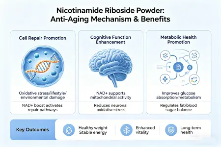 How Nicotinamide Riboside Powder Supports Aging How Nicotinamide Riboside Powder Supports Aging