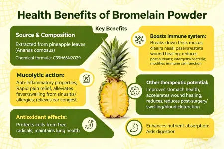 Health Benefits of Bromelain Powder Health Benefits of Bromelain Powder