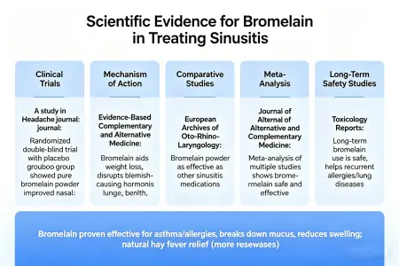 Scientific Evidence Supporting Bromelain for Sinusitis