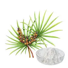 Understanding Saw Palmetto Extract and Its Mechanism of Action