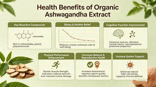 Health Benefits of Organic Ashwagandha Extract