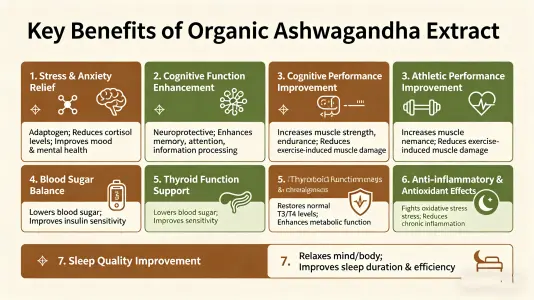 Top Benefits of Organic Ashwagandha Extract for Wellness