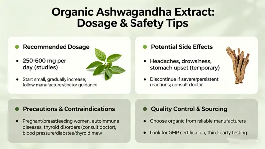 Organic Ashwagandha Extract Dosage and Safety Tips