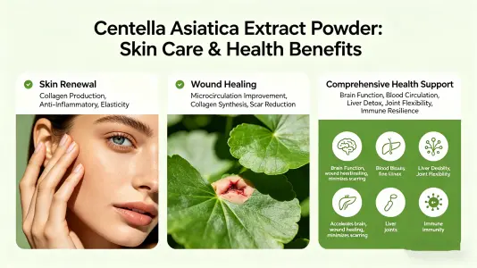 Using Gotu Kola Extract Powder for Skin and Wellness