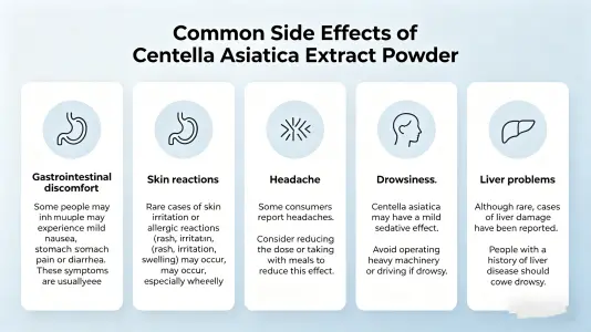 Common Side Effects of Gotu Kola Extract Powder Common Side Effects of Gotu Kola Extract Powder