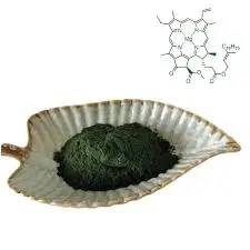 blog-225-225 blog-225-225