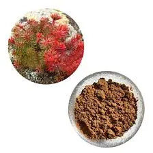 blog-224-224 blog-224-224