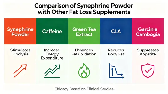 Synephrine Powder vs Other Fat Loss Supplements