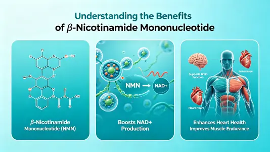Understanding Beta Nicotinamide Mononucleotide Benefits