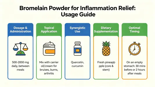 Use Bromelain Powder for Inflammation Relief