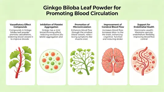 Ginkgo Leaf Powder for Healthy Blood Flow Ginkgo Leaf Powder for Healthy Blood Flow