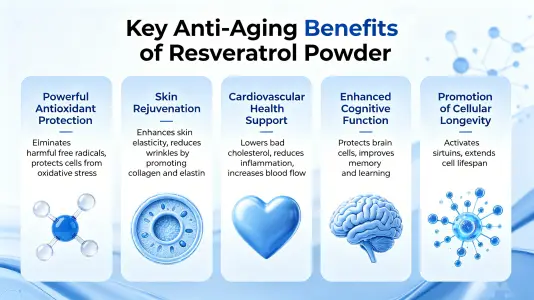 Top Anti-Aging Benefits of Resveratrol Powder Top Anti-Aging Benefits of Resveratrol Powder