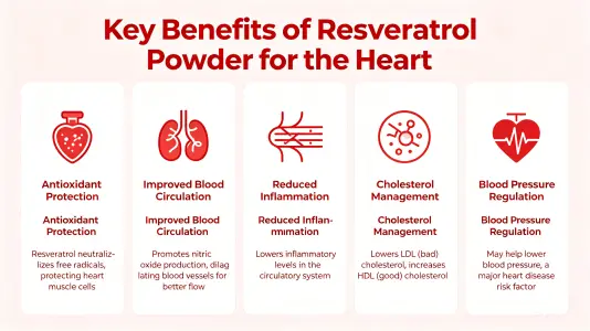 Top Heart Benefits of Resveratrol Powder