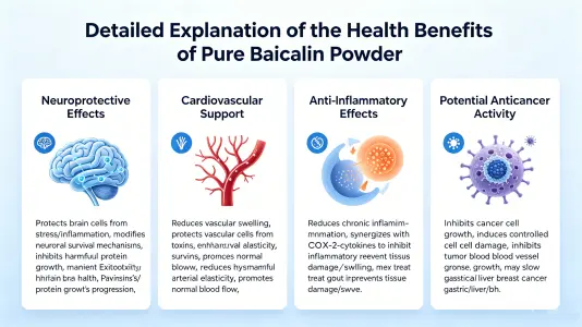 Health Benefits of Pure Baicalein Powder Explained Health Benefits of Pure Baicalein Powder Explained
