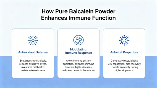 Pure Baicalein Powder Supports Immune Function Pure Baicalein Powder Supports Immune Function