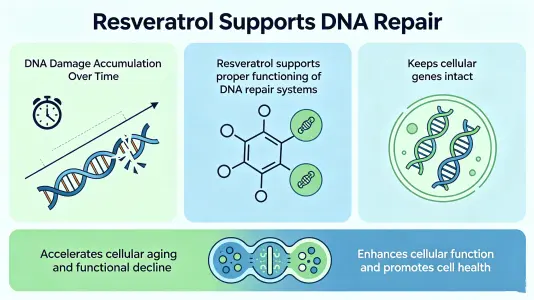 Supporting DNA Repair Supporting DNA Repair