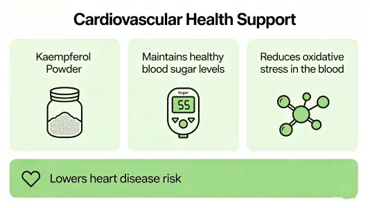 Cardiovascular Health Support