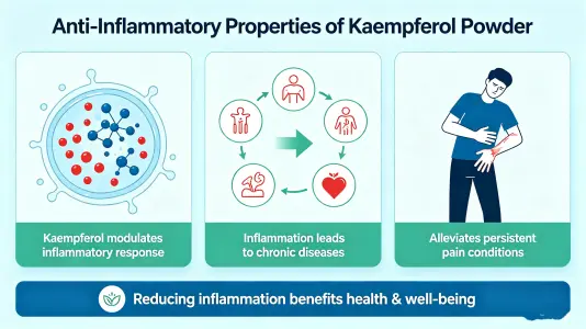 Anti-Inflammatory Properties Anti-Inflammatory Properties