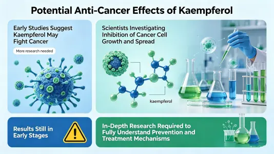 Potential Anti-Cancer Effects