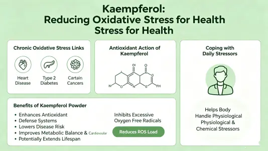 Oxidative Stress Reduction