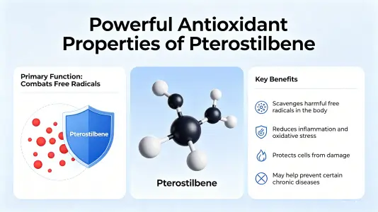 Potent Antioxidant Properties Potent Antioxidant Properties