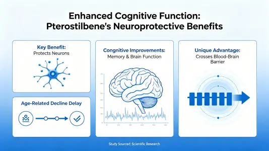 Cognitive Function Enhancement