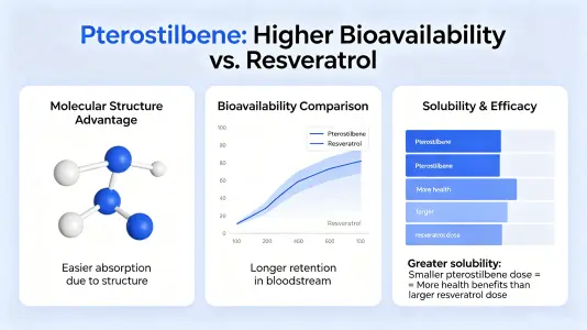 Enhanced Bioavailability