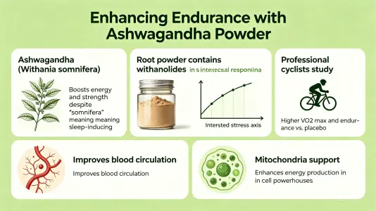 Boosting Stamina with Withania Somnifera Powder