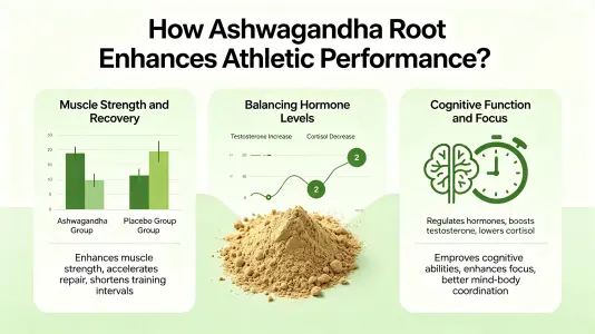 Ashwagandha Root Enhances Physical Performance Ashwagandha Root Enhances Physical Performance