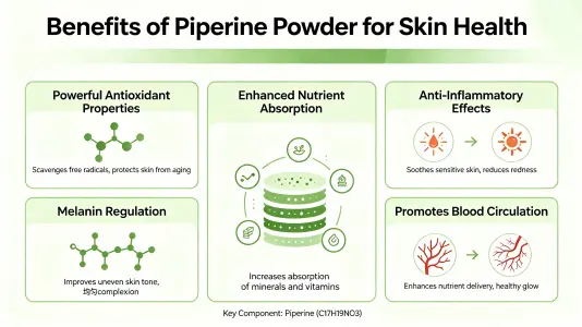 Benefits of Piperine Powder for Skin Health