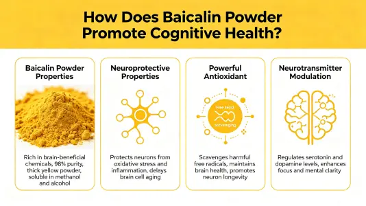 Baicalein Powder Supports Cognitive Health