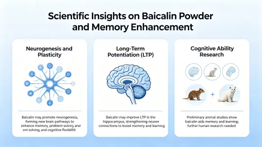 Scientific Insights on Baicalein Powder and Memory Enhancement