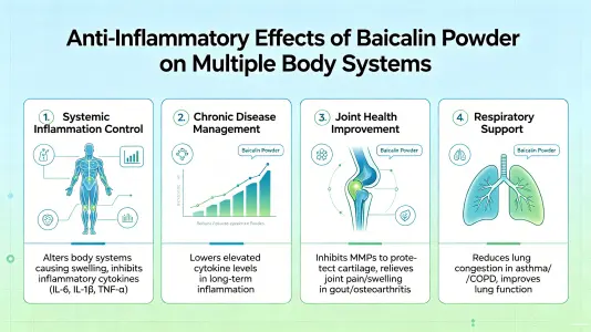Anti-Inflammatory Effects on Various Body Systems