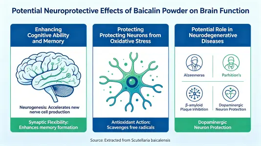 Potential Neuroprotective Benefits for Brain Function