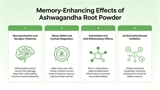 Memory-boosting benefits of withania somnifera root powder
