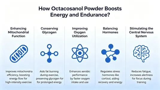 Octacosanol Powder Boosts Energy and Stamina