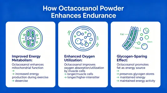 How Octacosanol Powder Boosts Stamina