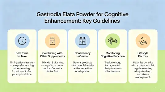 Using Gastrodin Powder for Cognitive Support