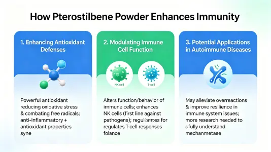 How Pterostilbene Powder Supports Immune Health
