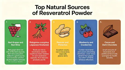 Top Natural Sources of Resveratrol Powder Explained