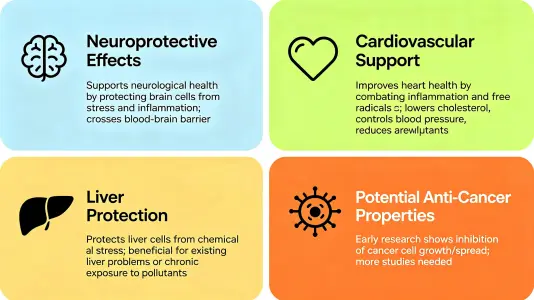Health Benefits of Baicalein Powder Explained Health Benefits of Baicalein Powder Explained