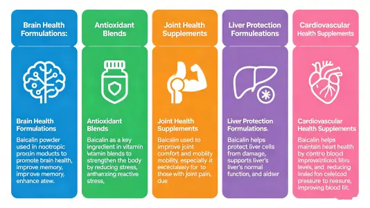 Top Uses of Baicalein Powder in Supplements