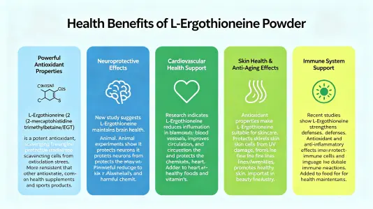 Top benefits of bulk l ergothioneine powder for health Top benefits of bulk l ergothioneine powder for health