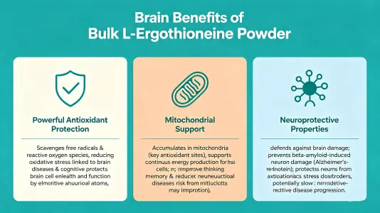 Brain Benefits of Bulk L Ergothioneine Powder