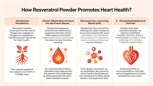 How Resveratrol Powder Supports Heart Health
